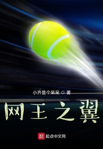 網王之翼