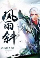 風雨斜在線閱讀