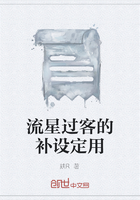 流星过客的补设定用