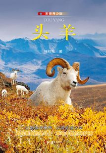 頭羊(影像青少版)