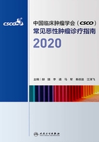 中国临床肿瘤学会（CSCO）常见恶性肿瘤诊疗指南·2020