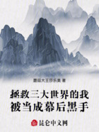 拯救三大世界的我被当成幕后黑手在线阅读