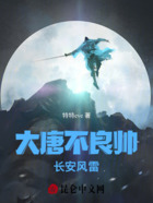 大唐不良帅:长安风雷在线阅读