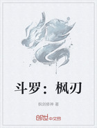 斗罗：枫刃在线阅读