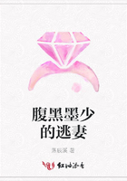 腹黑墨少的逃妻在線閱讀