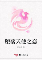 墮落天使之戀在線閱讀