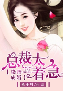 染指成婚：總裁太著急