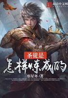 圣徒是怎樣煉成的在線閱讀