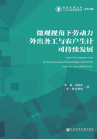 微观视角下劳动力外出务工与农户生计可持续发展在线阅读