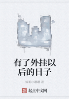 有了外掛以后的日子在線閱讀