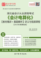 湖北省会计从业资格考试《会计电算化》【教材精讲＋真题解析】讲义与视频课程【20小时高清视频】在线阅读