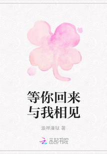 等你回来与我相见