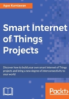 Smart Internet of Things Projects