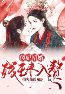 傻妃招婿：殘王來入贅