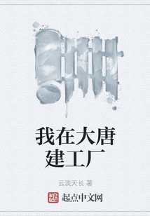 我在大唐建工廠