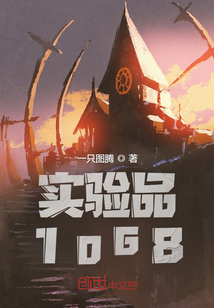 實(shí)驗(yàn)品1068