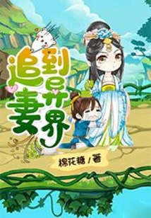 追妻到異界