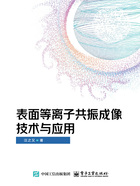 表面等离子共振成像技术与应用在线阅读