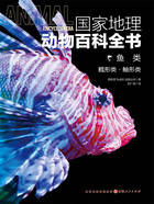 鱼类:鳕形类·鲉形类(国家地理动物百科全书)在线阅读
