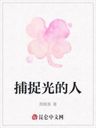 捕捉光的人在线阅读