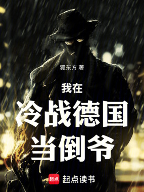 我在冷战德国当倒爷在线阅读