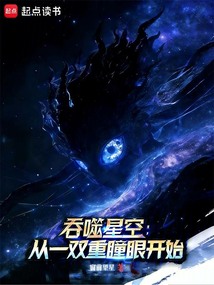 吞噬星空：从一双重瞳眼开始在线阅读