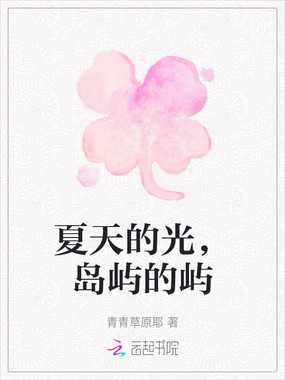 夏天的光,岛屿的屿在线阅读