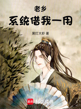 老乡，系统借我一用在线阅读