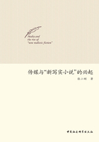 傳媒與“新寫實(shí)小說(shuō)”的興起在線閱讀