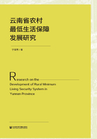 云南省农村最低生活保障发展研究在线阅读