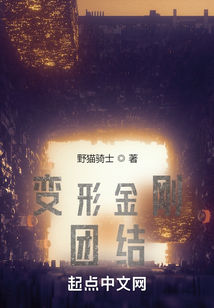 變形金剛團結
