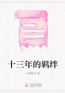 十三年的羈絆