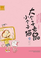 大个子老鼠小个子猫23（注音版）