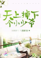 天上掉下個(gè)小少爺在線閱讀