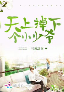 天上掉下個(gè)小少爺