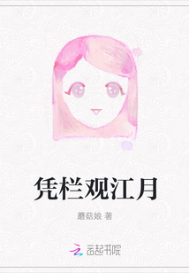 憑欄觀江月