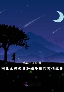 網(wǎng)王之滿天星和梔子花的愛情故事