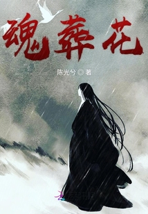 魂葬花