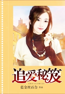 追愛秘笈