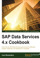 SAP Data Services 4.x Cookbook在线阅读