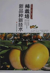 柿栽培新品種新技術
