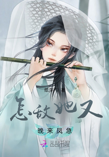 怎敌她又晚来凤急