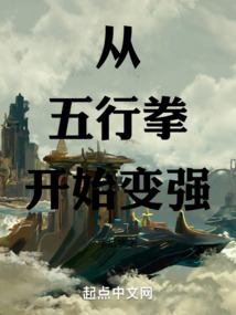 从五行拳开始变强 cover