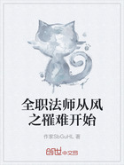 全职法师从风之罹难开始在线阅读