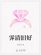 霽清舊好在線閱讀