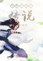 VWIJ之传说在线阅读