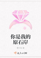 你是我的原石岸在线阅读