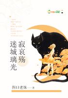 迷城璃光寂哀殤在線閱讀