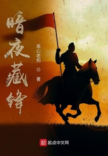 暗夜藏锋