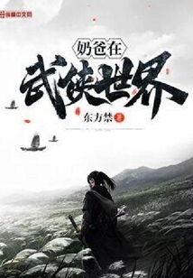 奶爸在武俠世界
